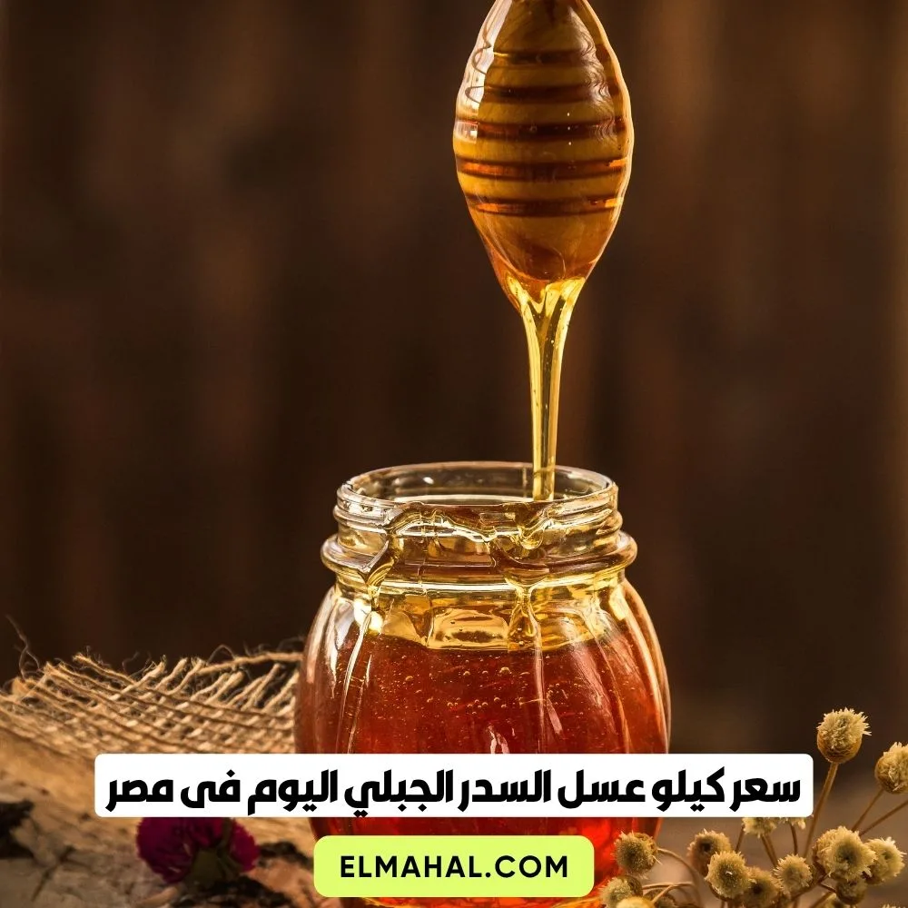 سعر كيلو عسل السدر الجبلي اليوم فى مصر