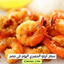 سعر كيلو الجمبري اليوم فى مصر