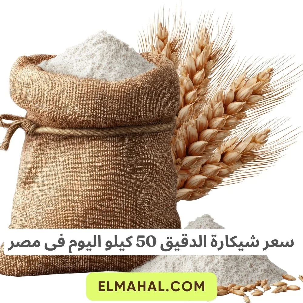 سعر شيكارة الدقيق 50 كيلو اليوم فى مصر